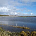 Lymington Wildlife Discovery Walk - Final Thoughts: Why You Should Consider This Experience