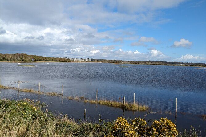 Lymington Wildlife Discovery Walk - Final Thoughts: Why You Should Consider This Experience