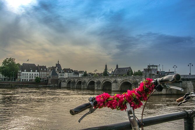 Maastricht Private Walking Tour With A Professional Guide - Who Should Book This Tour?