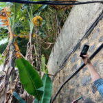 Madeira: Banana Plantation Guided Tour with Tasting - Exploring Madeira’s Banana Plantations: What to Expect