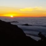 Madeira: Birdwatching - The Endemics - Value and Pricing