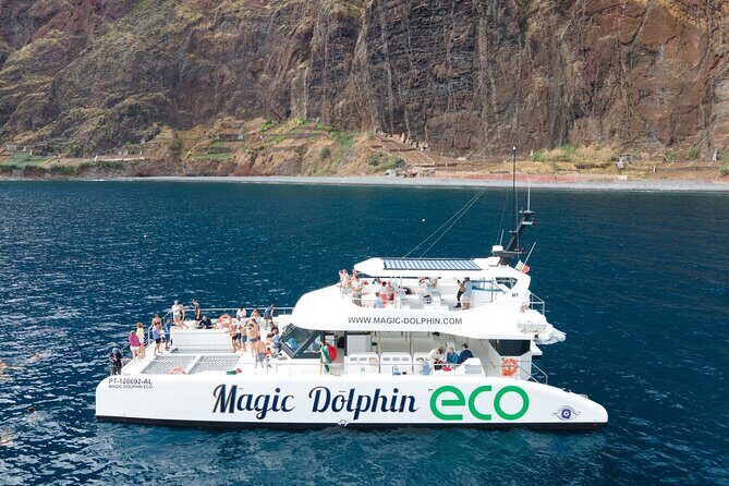 Madeira Dolphin and Whale Watching on a Ecological Catamaran - The Itinerary: What to Expect
