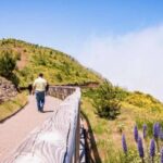 Madeira : Full Day Adult only East 4x4 Tour - Practical Considerations and Value