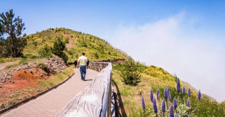 Madeira : Full Day Adult only East 4x4 Tour - Practical Considerations and Value