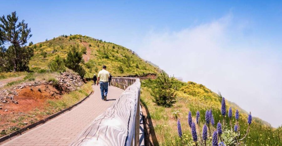 Madeira : Full Day Adult only East 4x4 Tour - Practical Considerations and Value