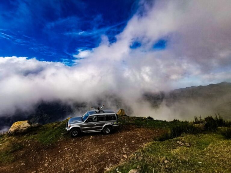 Madeira: Full-Day Jeep Tour, Natural Pools, Seixal & Fanal - What Makes This Tour Stand Out?