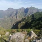 Madeira: Half-Day Off-Road Buggy Tour - Is It Worth the Price?