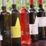 Madeira Island Private Wine Full-day Tour in all terrain vehicle - What’s Included and What to Expect