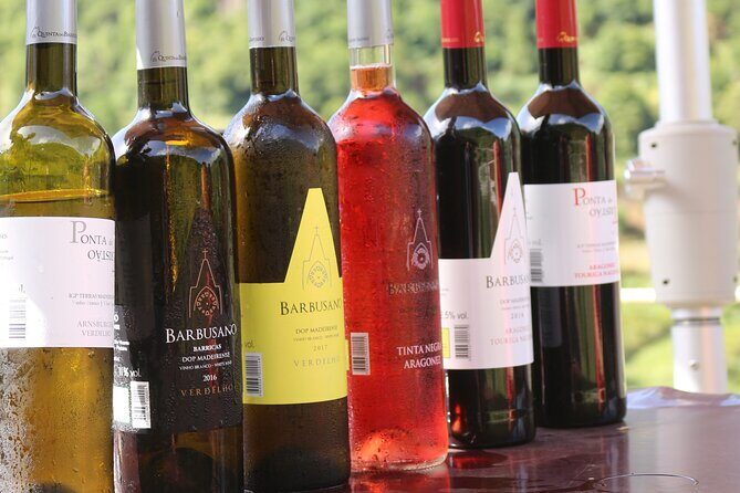 Madeira Island Private Wine Full-day Tour in all terrain vehicle - What’s Included and What to Expect