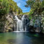 MADEIRA ISLAND WALK - LAKES OF MADEIRA , LEVADA DO ALECRIM - Detailed Breakdown of the Itinerary