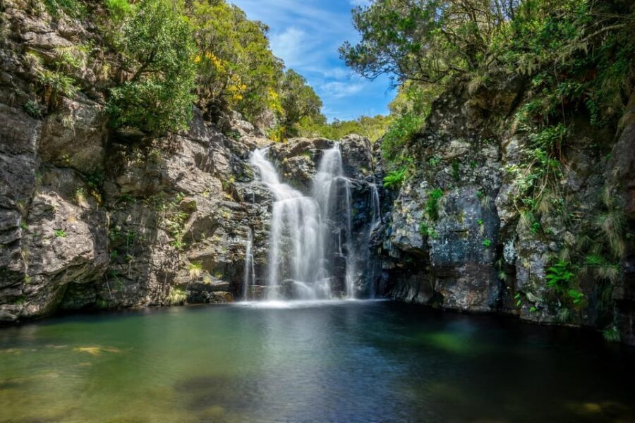 MADEIRA ISLAND WALK - LAKES OF MADEIRA , LEVADA DO ALECRIM - Detailed Breakdown of the Itinerary