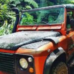 Madeira Jeep 4x4: Old Forest Full-Day Tour incl Pico Arieiro - An In-Depth Look at the Madeira Jeep 4x4 Tour