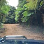 MADEIRA: Jeep Safari to Pico Arieiro & Santana local Houses - Who Will Love This Tour?