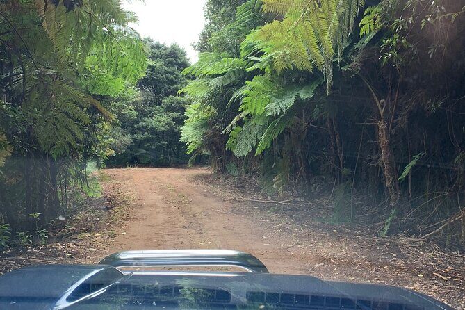 MADEIRA: Jeep Safari to Pico Arieiro & Santana local Houses - Who Will Love This Tour?
