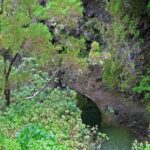 Madeira Levada Walk - Rabacal Lakes and Fountains - Transport, Group Size, and Practicalities