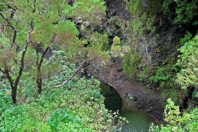 Madeira Levada Walk - Rabacal Lakes and Fountains - Transport, Group Size, and Practicalities