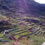 Madeira: Maroços Landscapes 2.5-Hour Guided Walk - Final Thoughts: Is It Worth It?