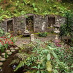 Madeira: Monte Tropical Gardens + Old Town Tuk Tuk by MadTuk - Who Will Love This Tour?