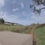 Madeira: Northwest Jeep Tour - The Vehicle & Comfort