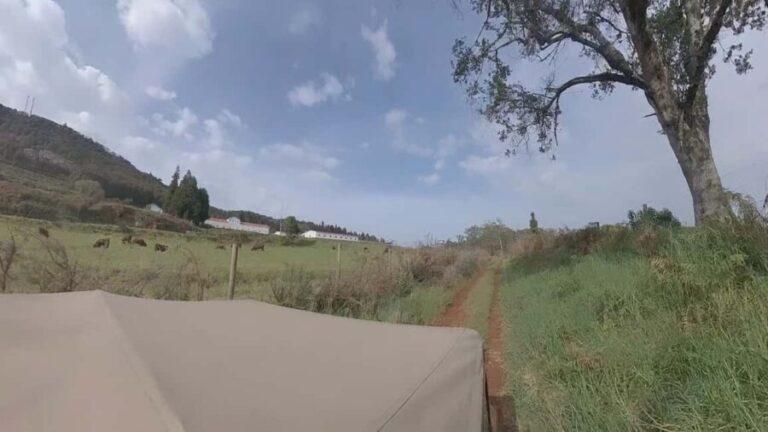 Madeira: Northwest Jeep Tour - The Vehicle & Comfort