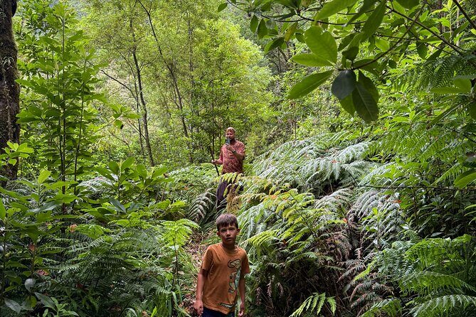 Madeira Off-Road 4x4 Jeep Adventure Private Full day Tour - Final Thoughts: Is This Tour Right for You?