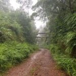 Madeira Off-Road Tours - FAQ: Your Questions Answered