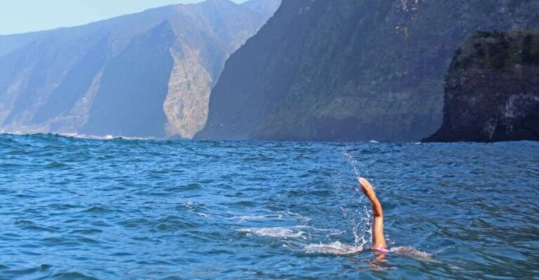 Madeira: Open Water Swimming - Who Is This Tour Best For?