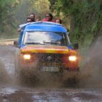 Madeira Peaks - Open 4X4 Full-Day Tour - The Experience: What Travelers Say