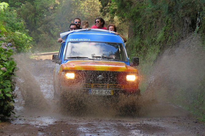 Madeira Peaks - Open 4X4 Full-Day Tour - The Experience: What Travelers Say