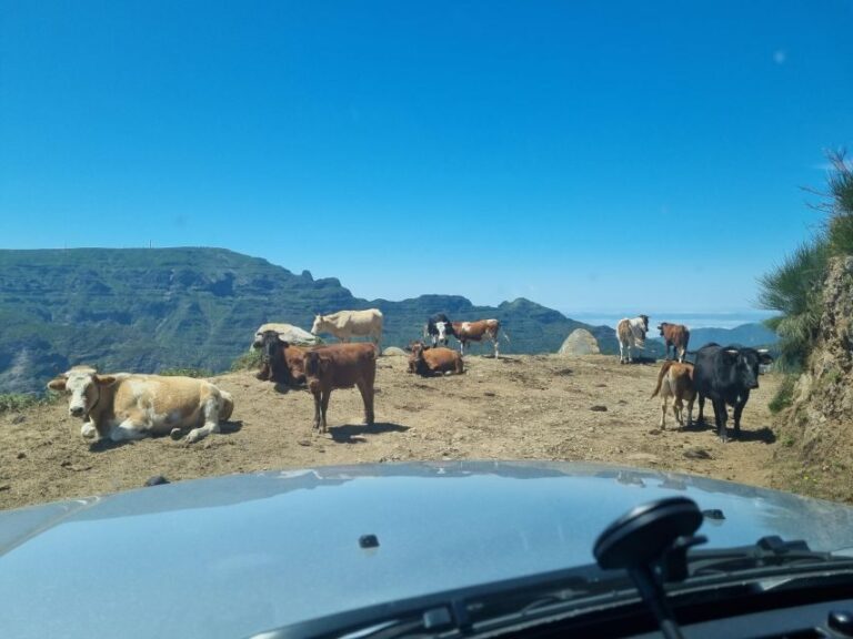 Madeira: Picturesque Peaks and Skywalk private 4x4 Jeep tour - FAQ