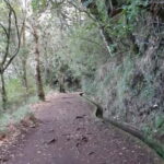 Madeira: Private 1.5-Kilometer Levada dos Balcões Hike PR11 - Transportation & Logistics