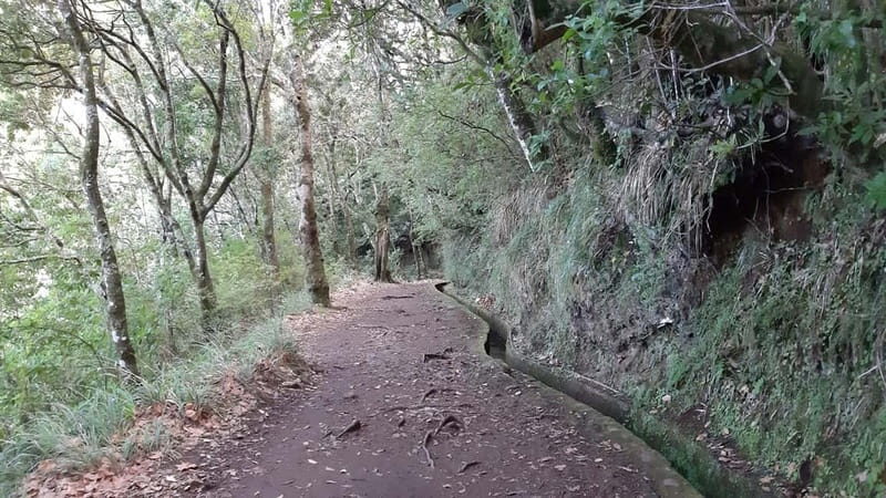 Madeira: Private 1.5-Kilometer Levada dos Balcões Hike PR11 - Transportation & Logistics