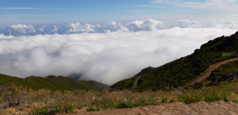 Madeira: Private Guided Achadas Teixeira - Pico Ruivo PR1.1 - The Value of the Tour