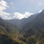 Madeira: Private Laurisilva Tour - What’s the Real Value?