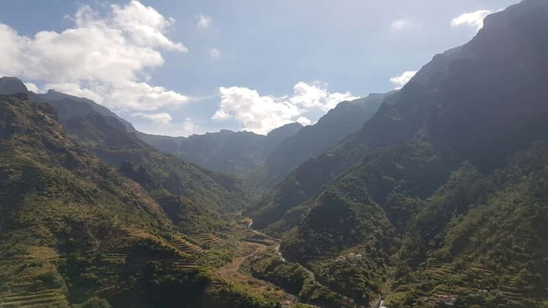 Madeira: Private Laurisilva Tour - What’s the Real Value?