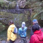 Madeira: Ribeiro Frio to Portela 4-Hour Guided Walk - Authentic Experiences and Practical Tips