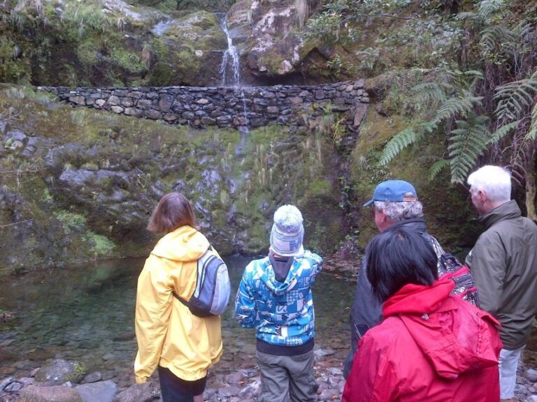 Madeira: Ribeiro Frio to Portela 4-Hour Guided Walk - Authentic Experiences and Practical Tips