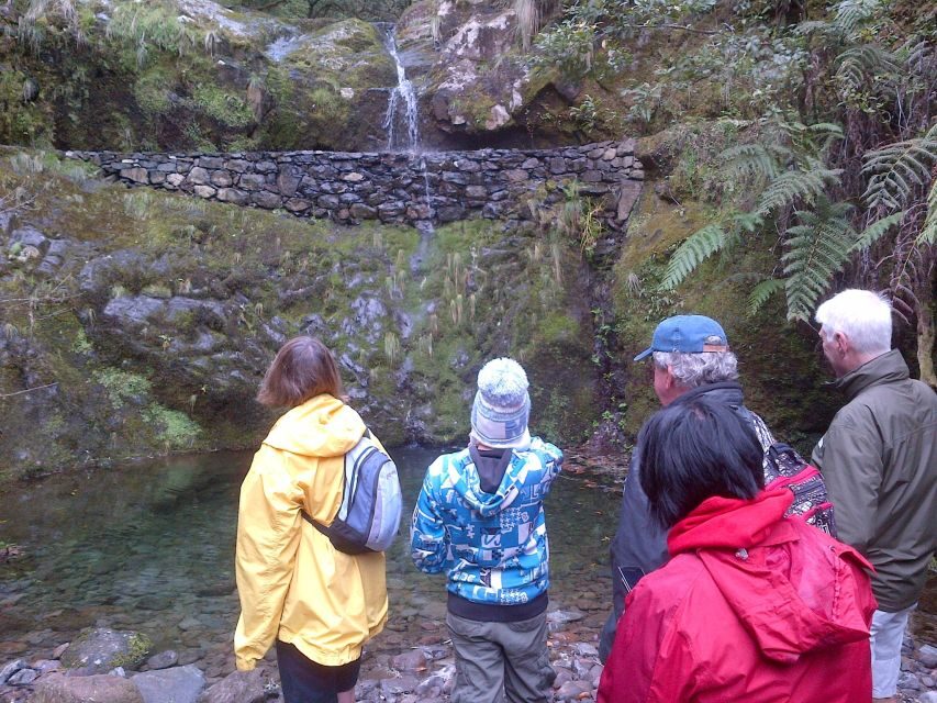 Madeira: Ribeiro Frio to Portela 4-Hour Guided Walk - Authentic Experiences and Practical Tips