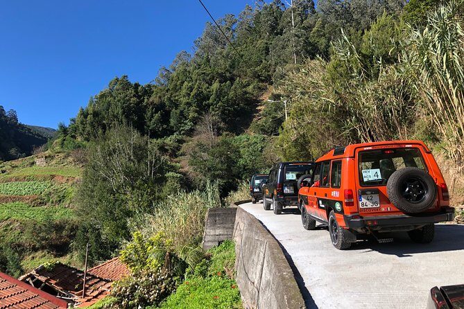 Madeira Safari - East of the island - Who Is This Tour Best For?