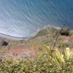 Madeira South West: Half Day Private Tour - The Practicalities: What to Expect and Why it Matters