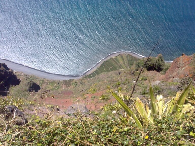 Madeira South West: Half Day Private Tour - The Practicalities: What to Expect and Why it Matters