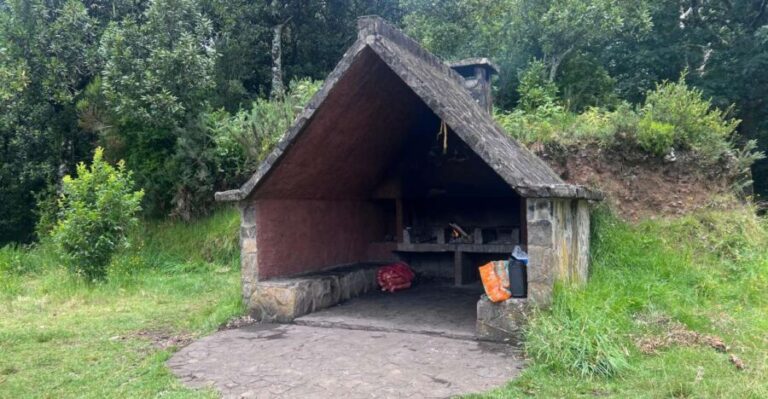 Madeira surprise tour 4x4 - Why Choose This Tour?