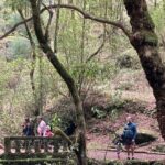 Madeira Top Sunset - Authentic Experiences and Feedback