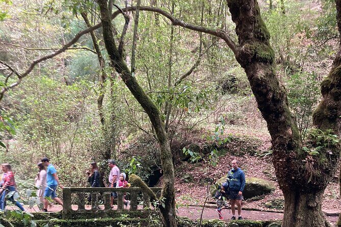Madeira Top Sunset - Authentic Experiences and Feedback