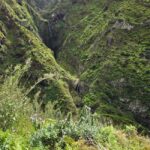 Madeira: Vereda da Ladeira  Challenging Full-Day Hike - Detailed Breakdown of the Itinerary