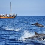 Madeira: Whale Watching Excursion in a Traditional Vessel - The Reality of Marine Sightings