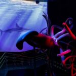 Madrid: Atlantis Aquarium Entry Ticket - Who Will Enjoy This Experience?