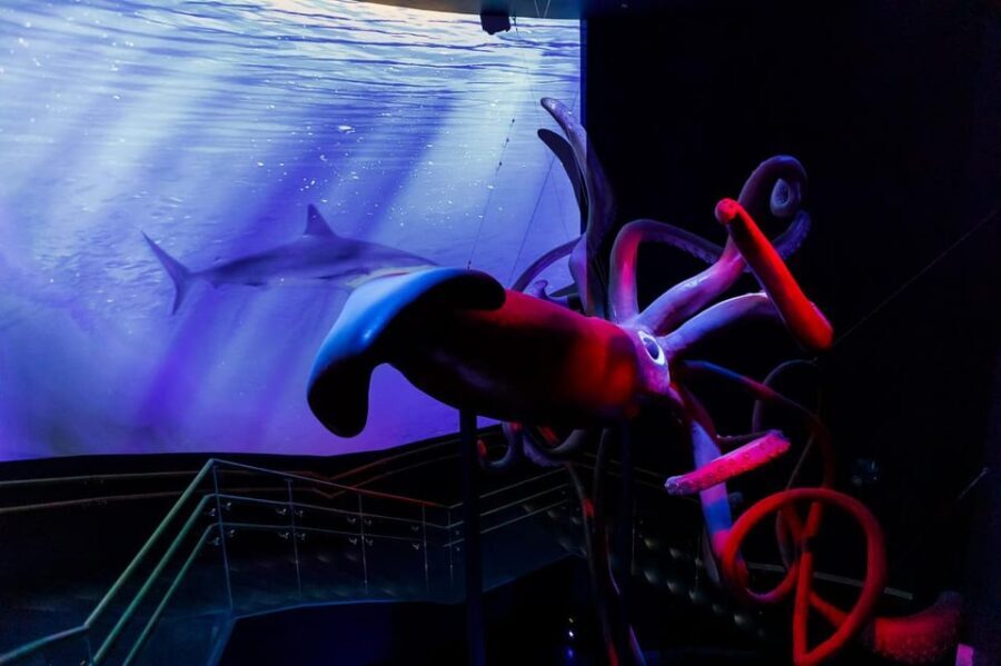 Madrid: Atlantis Aquarium Entry Ticket - Who Will Enjoy This Experience?