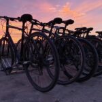 Madrid: bike rental - What to Expect from Your Madrid Bike Rental