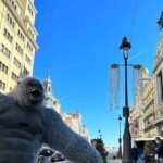 Madrid City Highlights Private Tour for kids and families - FAQs